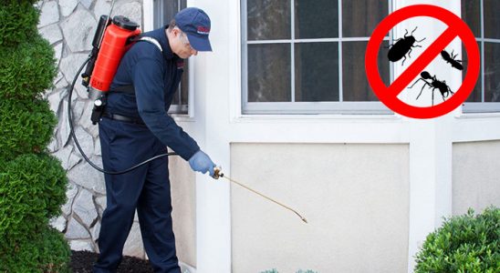 Çine Böcek İlaçlama böcek ilaçlama ve haşere kontrolü — ilaclama-tr.com